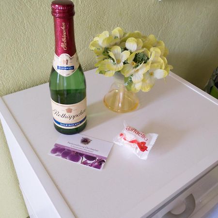 Ferienwohnung Dernbecher Saarbrucken Bagian luar foto